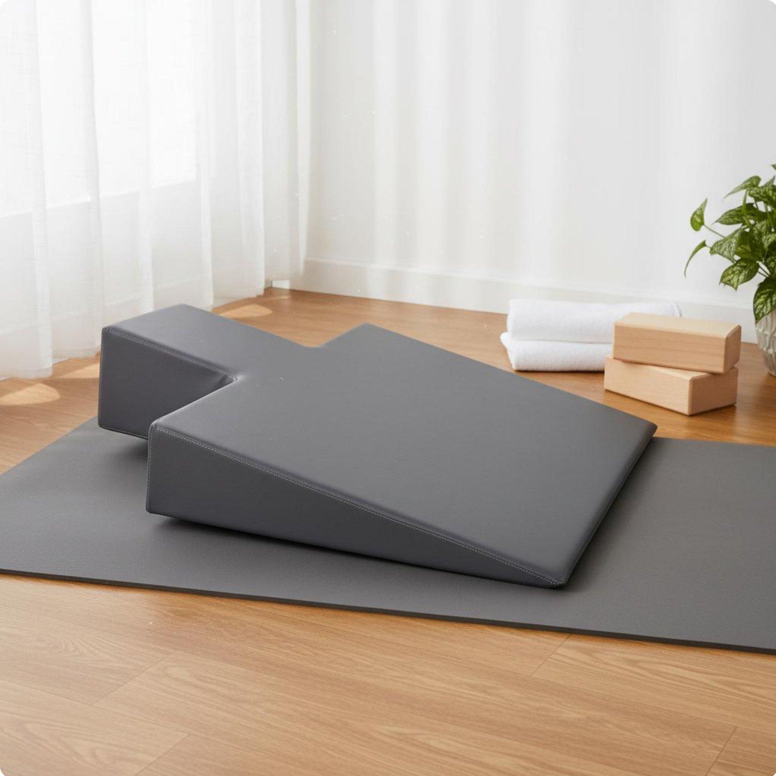 Bantal Penyangga Ibu Hamil Bus - Pilates & Yoga Tina Fehrenbach ulasan dan harga
